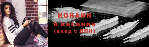 эйфоретик Горняк