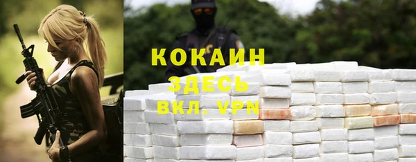 эйфоретик Горняк