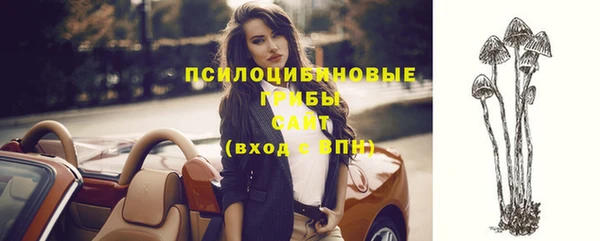 эйфоретик Горняк