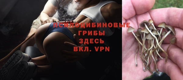 MDMA Горнозаводск