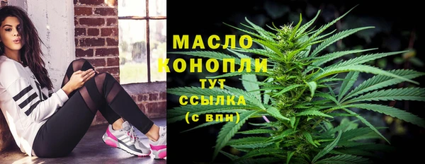 эйфоретик Горняк