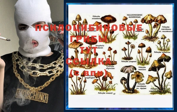эйфоретик Горняк