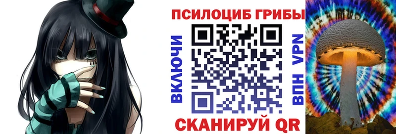 Галлюциногенные грибы GOLDEN TEACHER  купить  цена  Заречный 